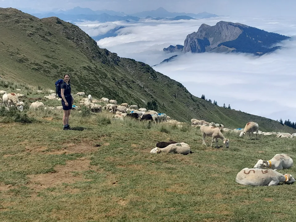 L'Argali, de keuken van Silje Deprez in Saint-Sauveur
